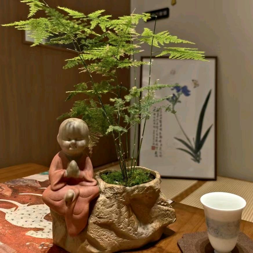 飞哥的生活