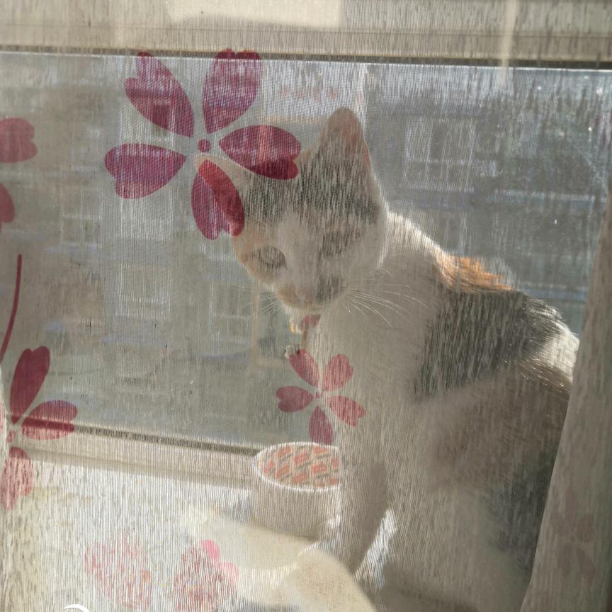 Cn.玺（切记叫玺子）Oc版