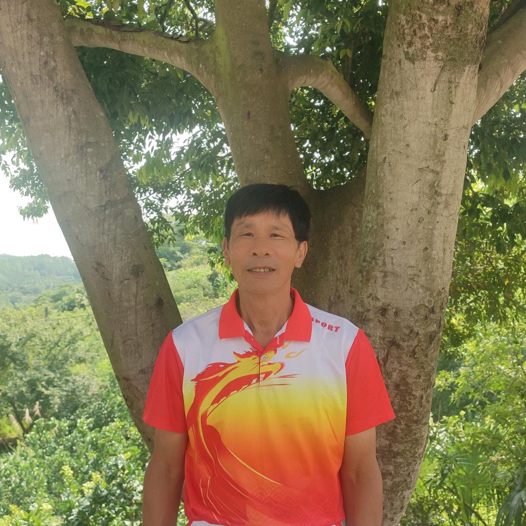 珍哥舞队