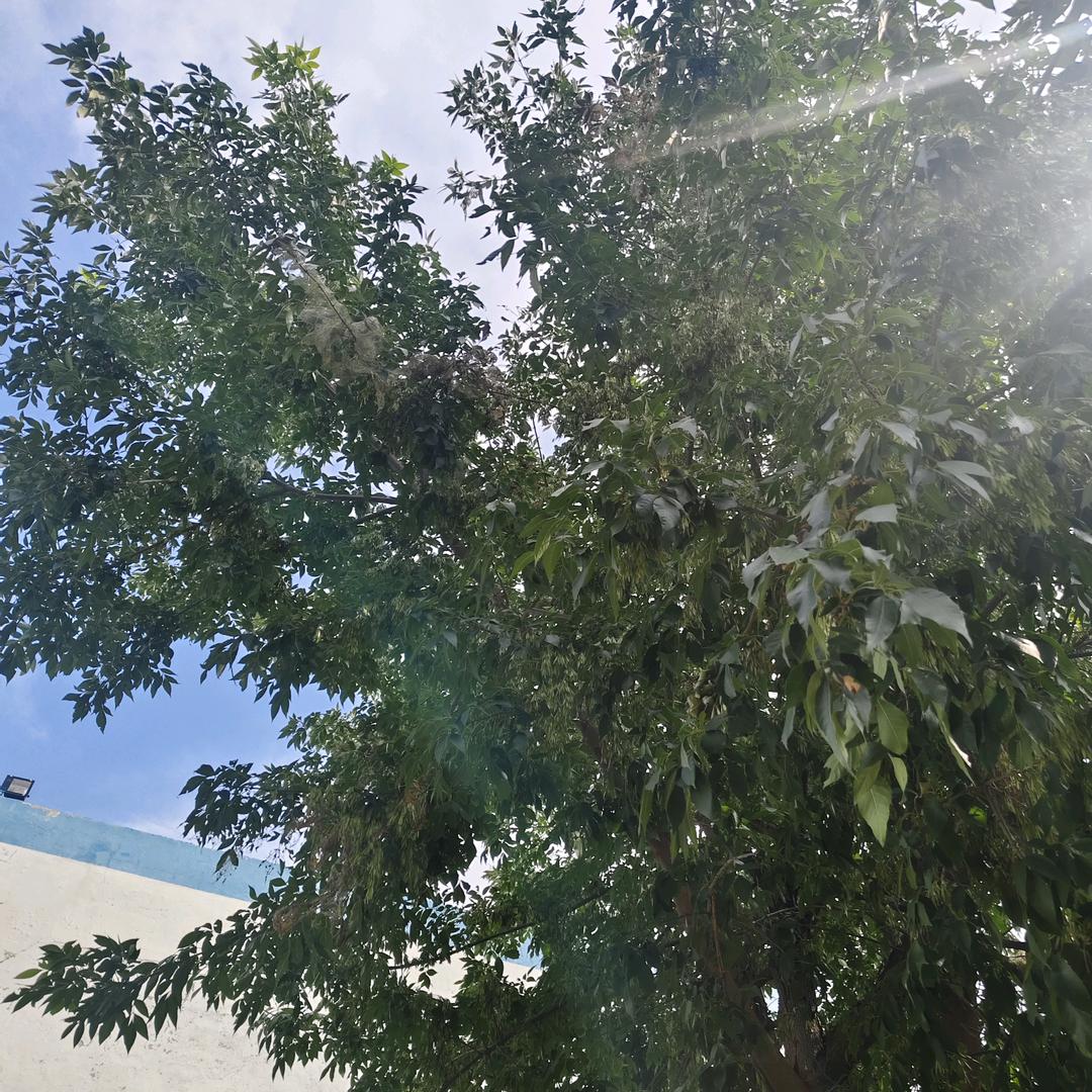 抖抖抖