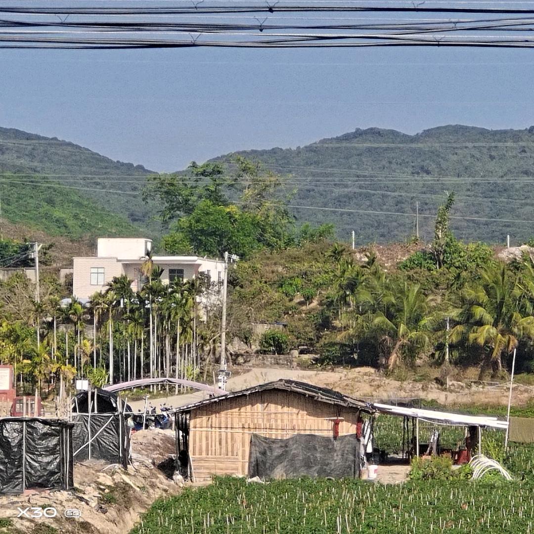 螳螂，中/唐郎中/郎中堂