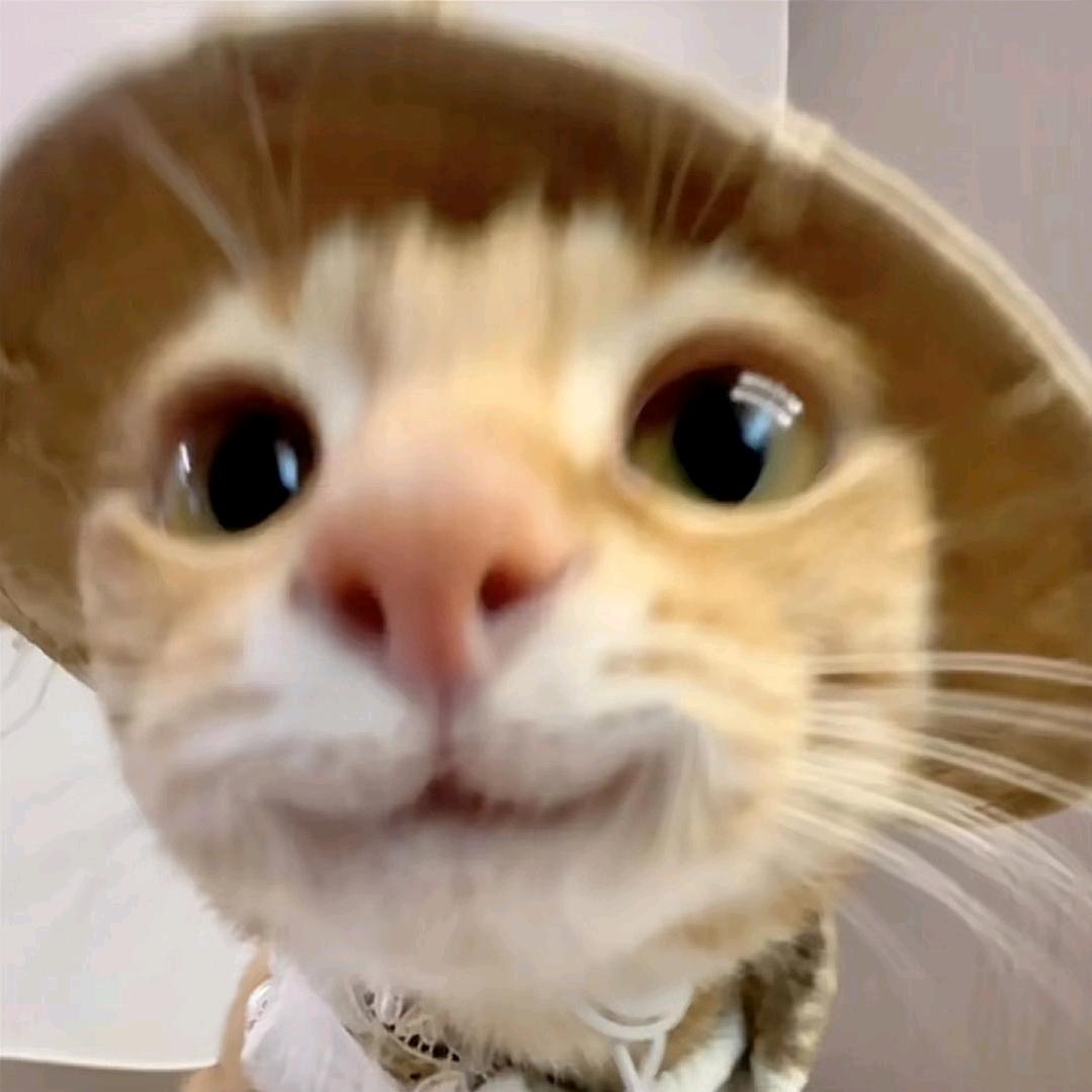 🍩我是羊村懒大王💤