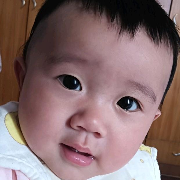 谢晓