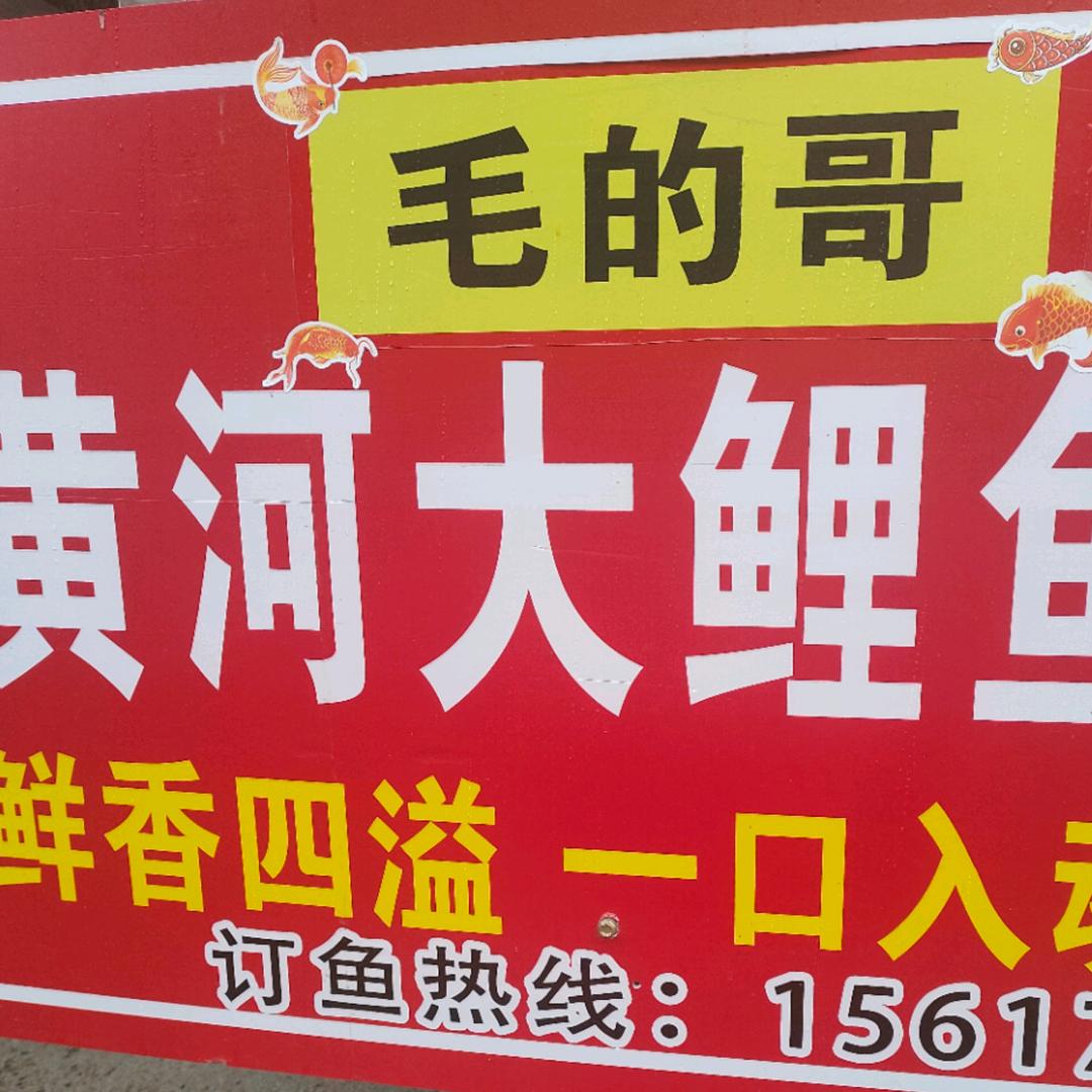 睢县毛的哥黄河大鲤鱼（传统手艺）