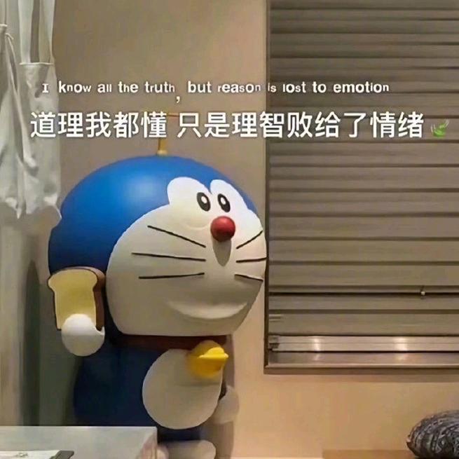 唐豆豆