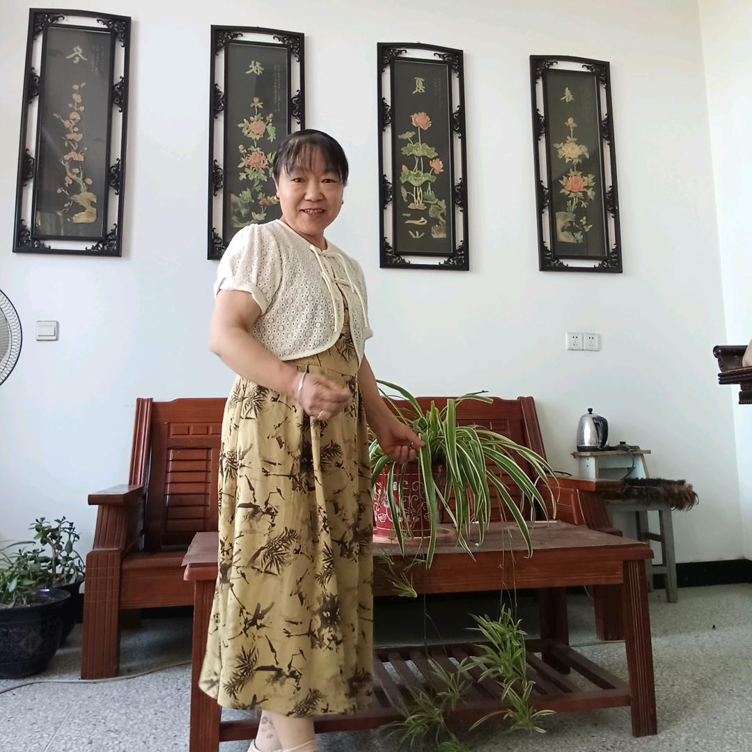 逸铭雨宸的外婆