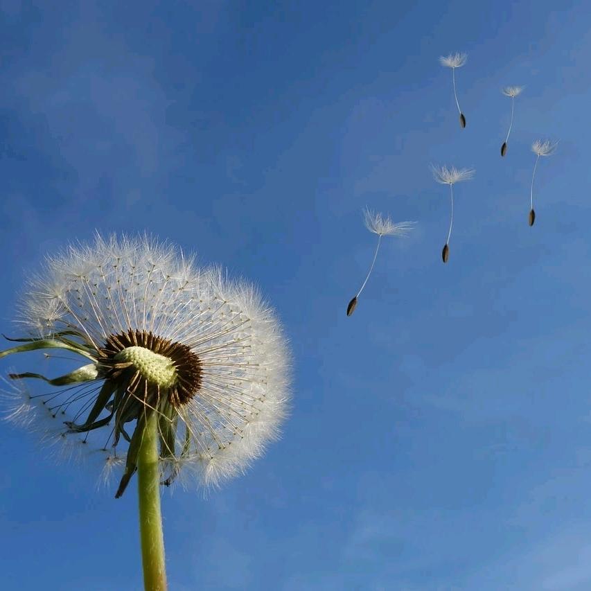 简爱
