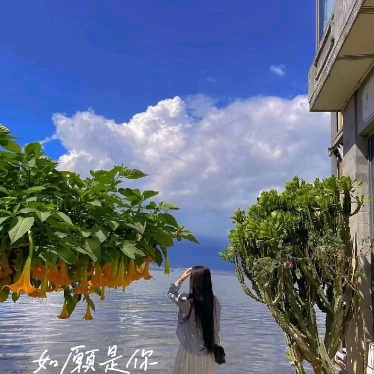 青-十九🐟