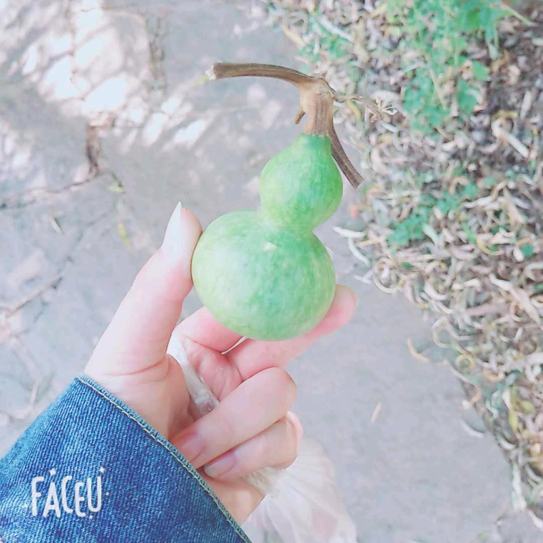 邳州潮牌（锅饼）