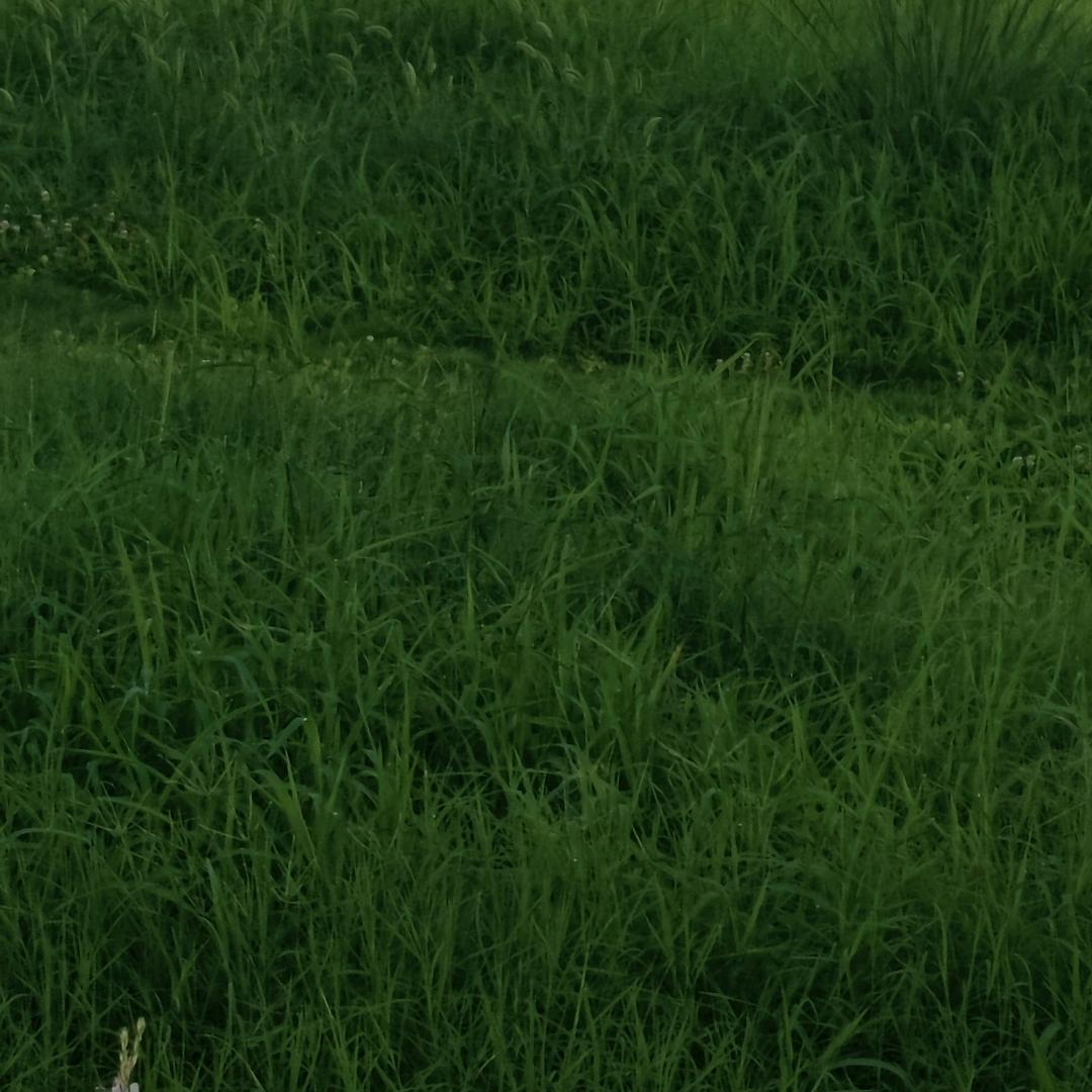 潇洒哥