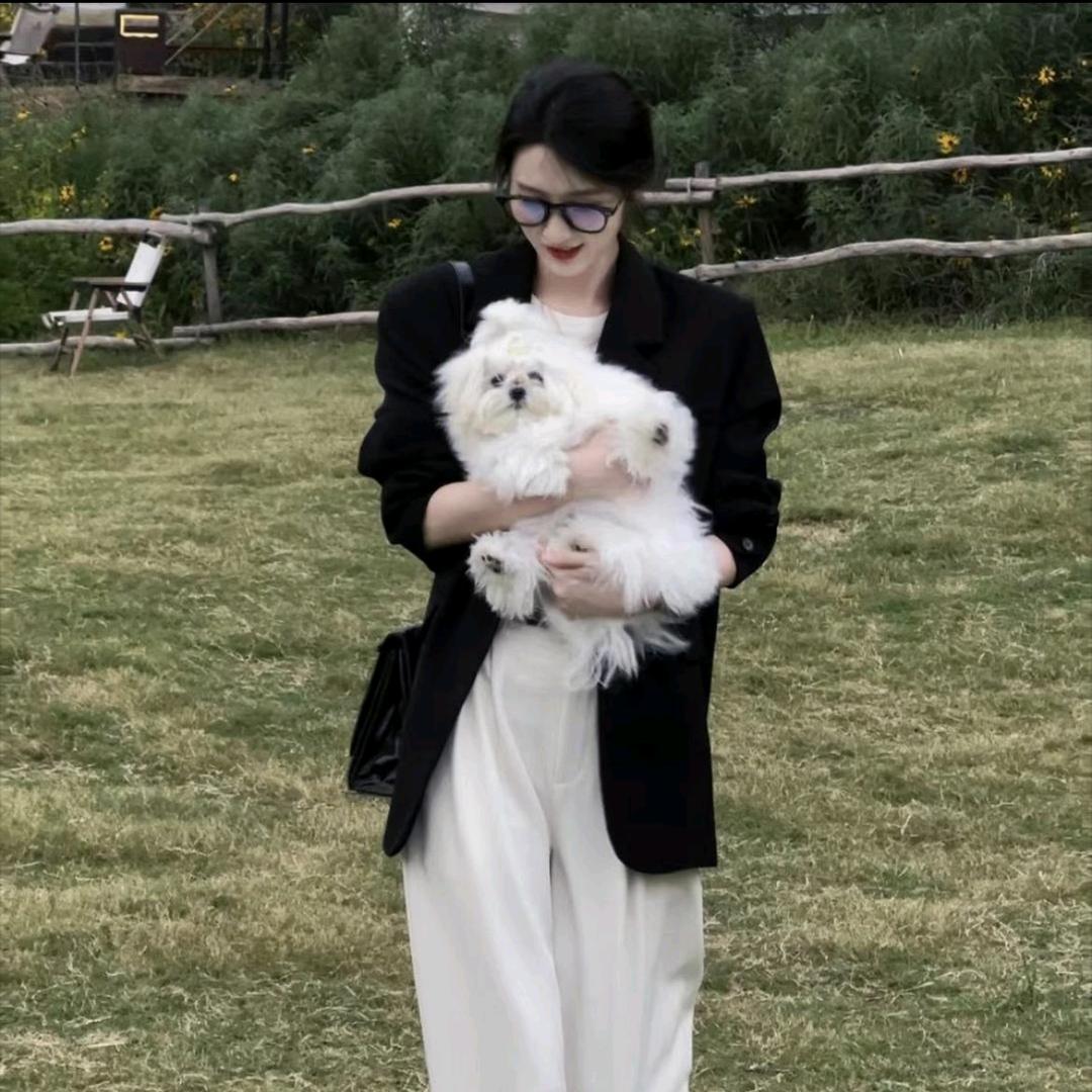 是丢丢呀～日常号