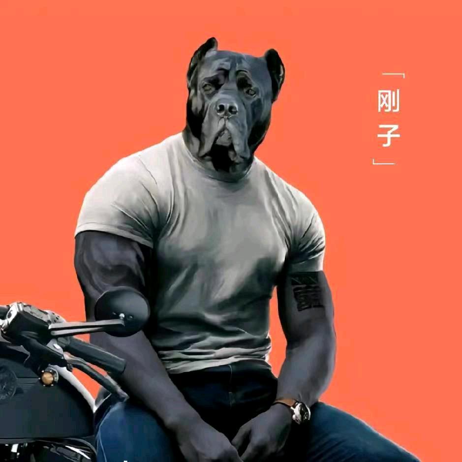 麦卡网络