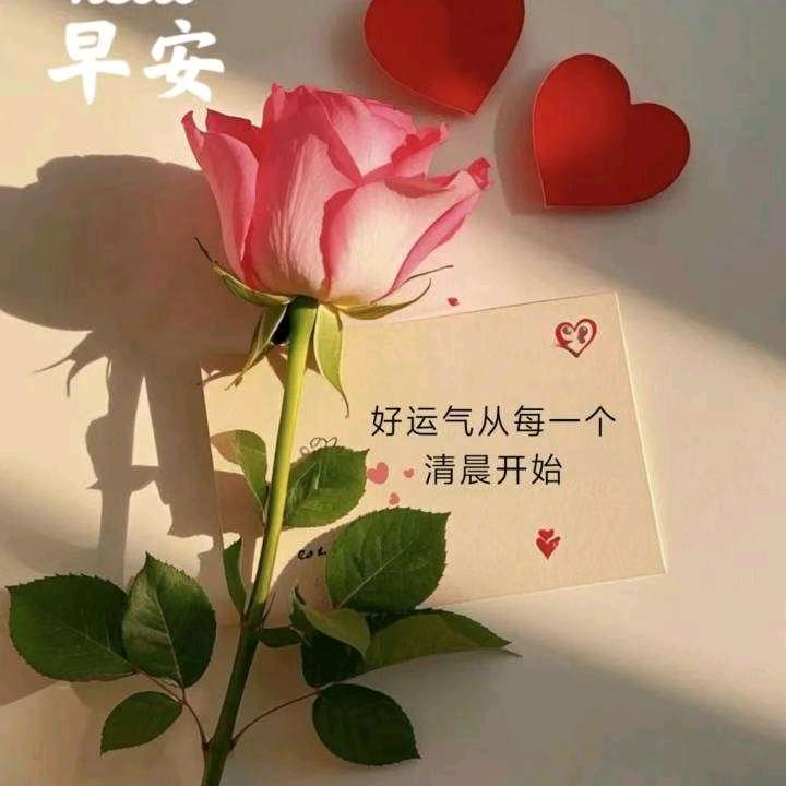 ￣世情缘