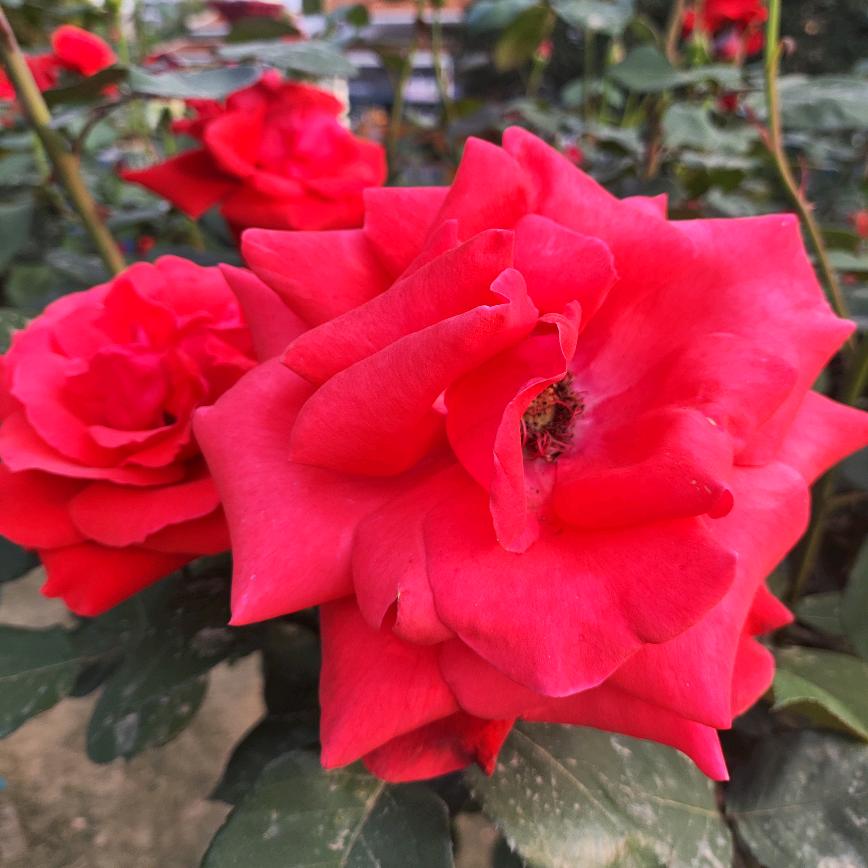 有你真好🌻🌻🌻