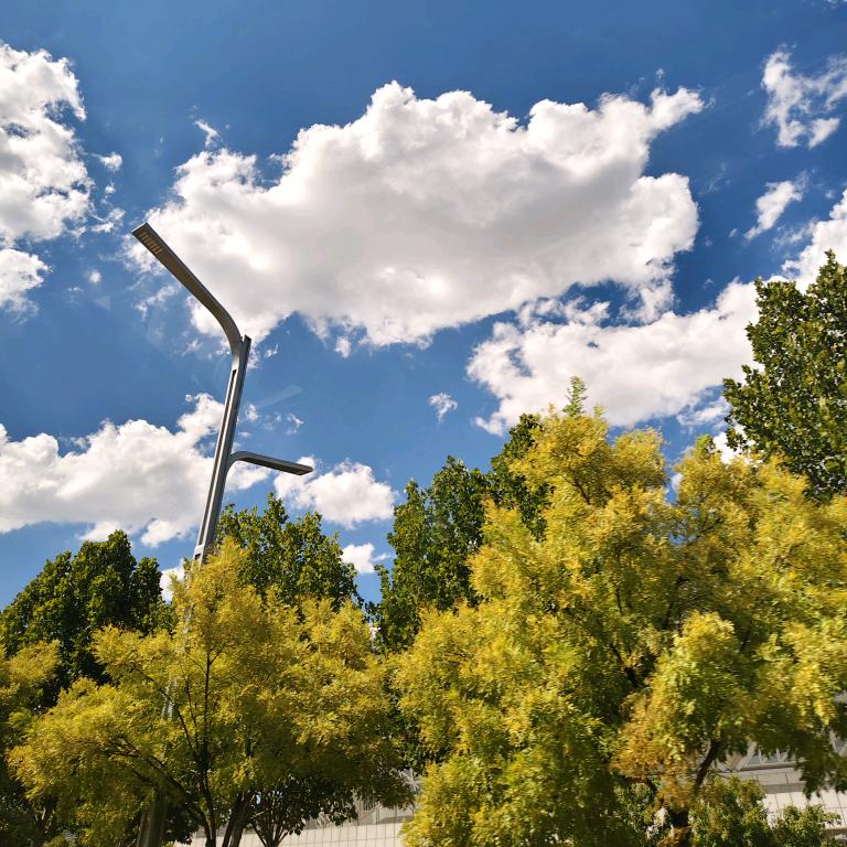 @梦枕🐉星河🌹