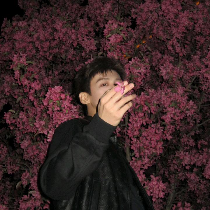 🌷☘