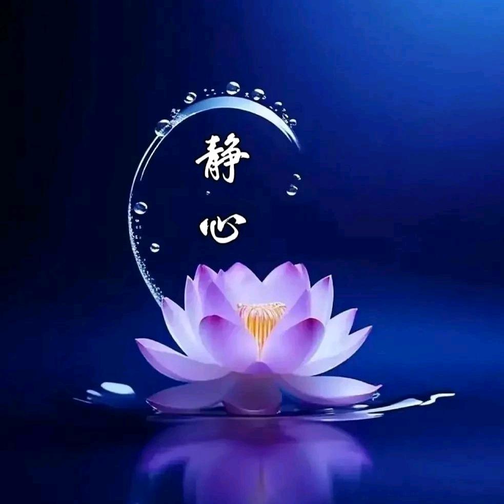 上上签⊹ ⋆ ̩̩͙  ♡ ✞⋆@💞