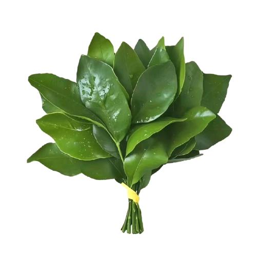 爱吃花生汤米干