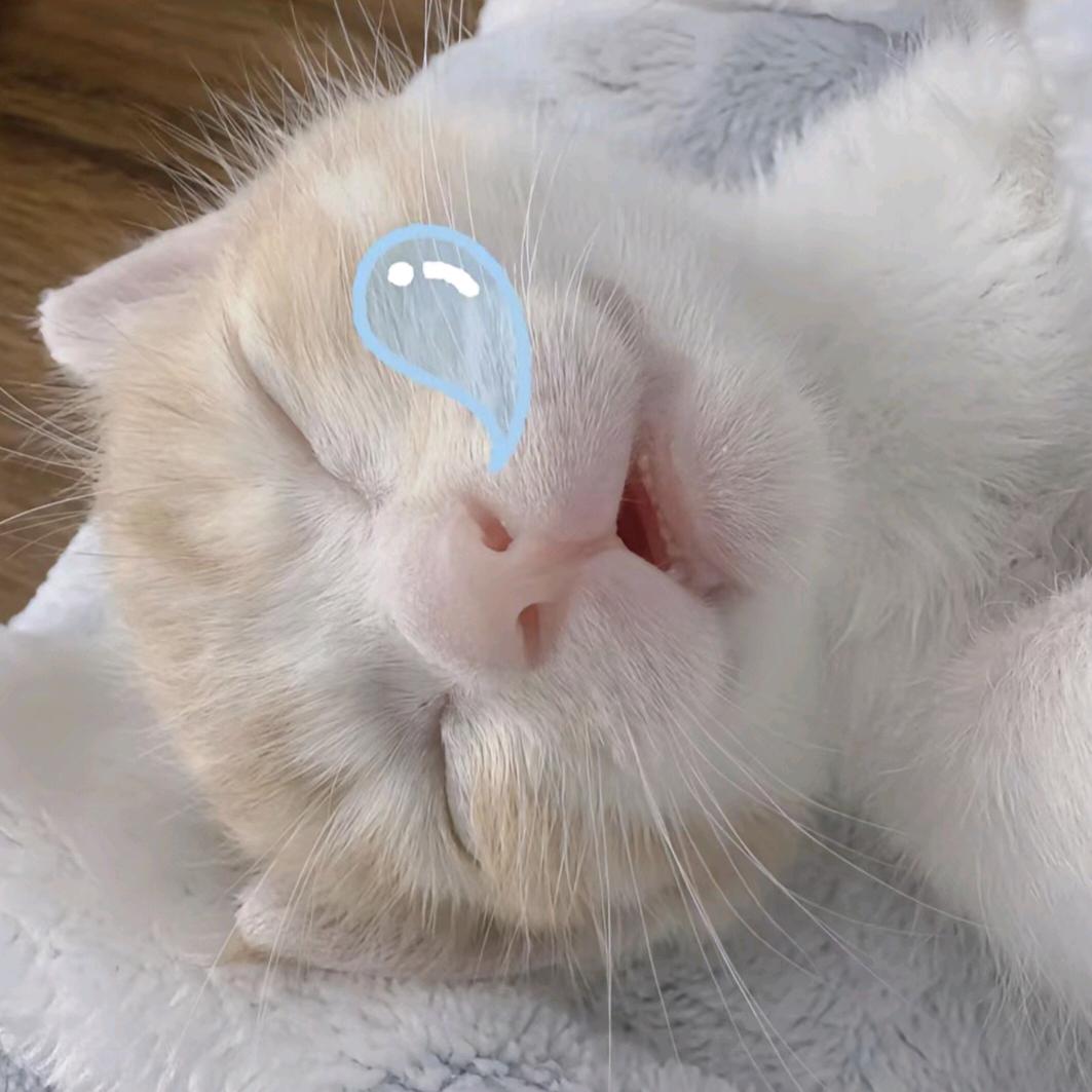 wygtteotw