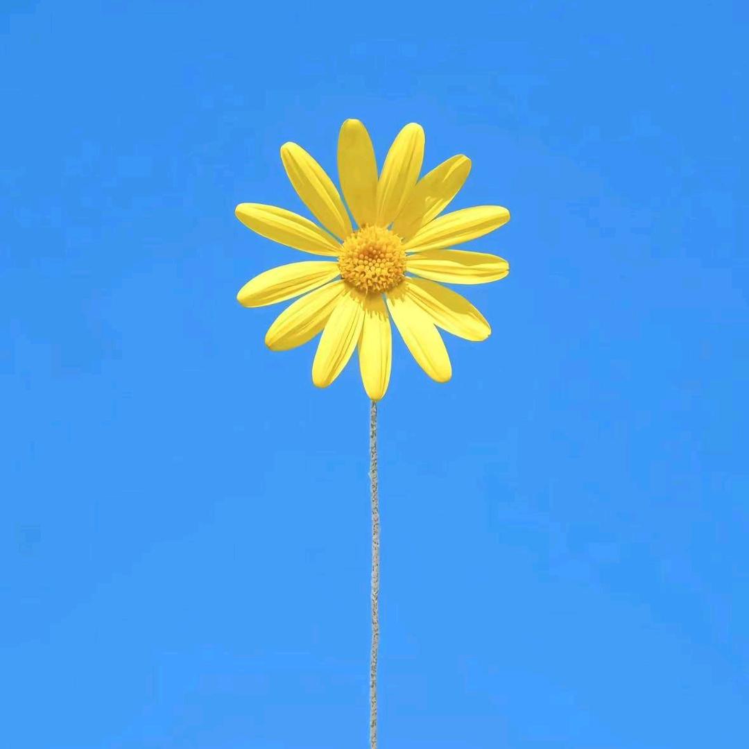 麦子熟了