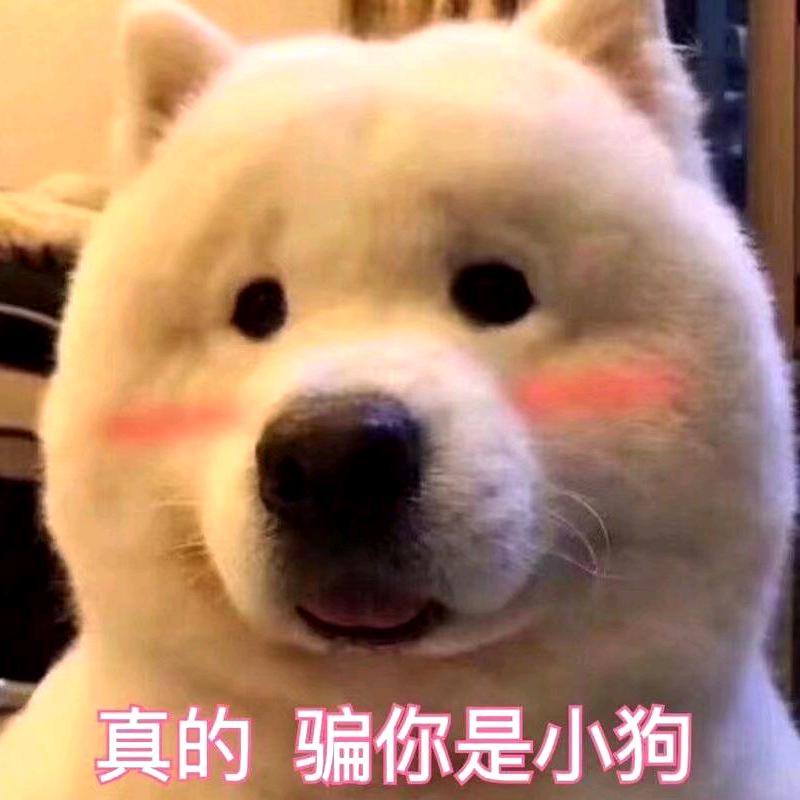秋水天一色