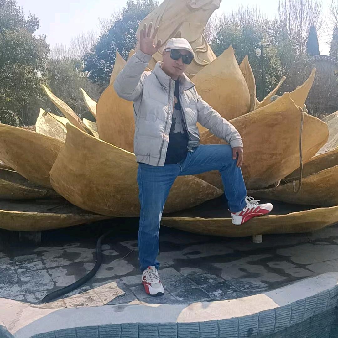 飞龙