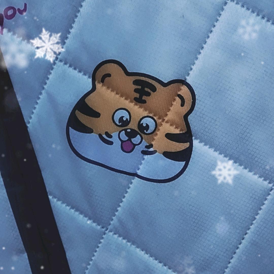 净心