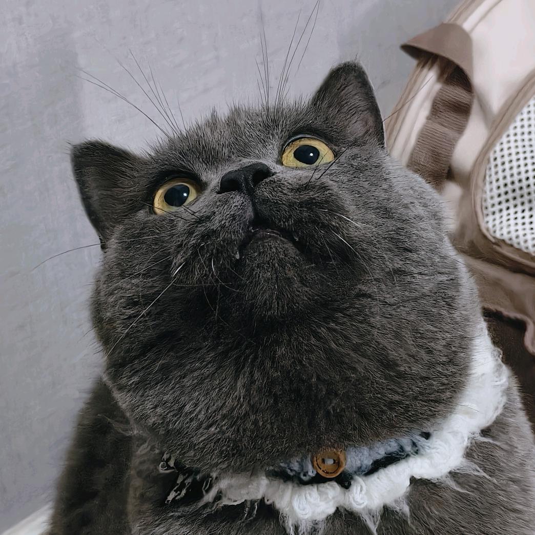 喔喔^O^