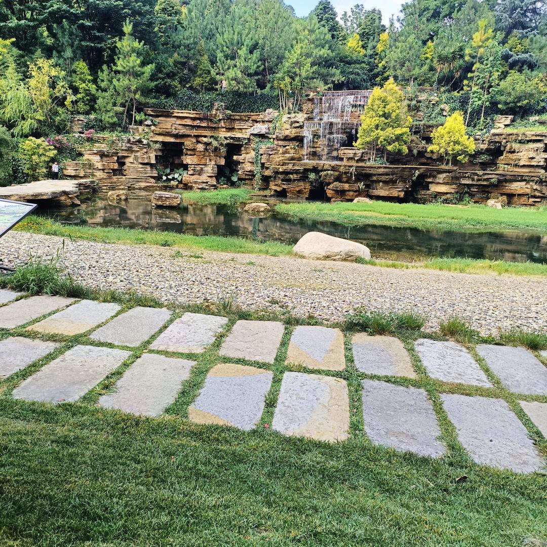 回忆再美也带着伤