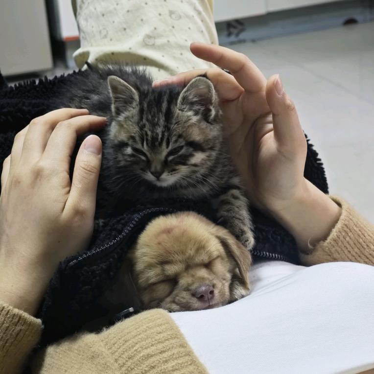李歪歪