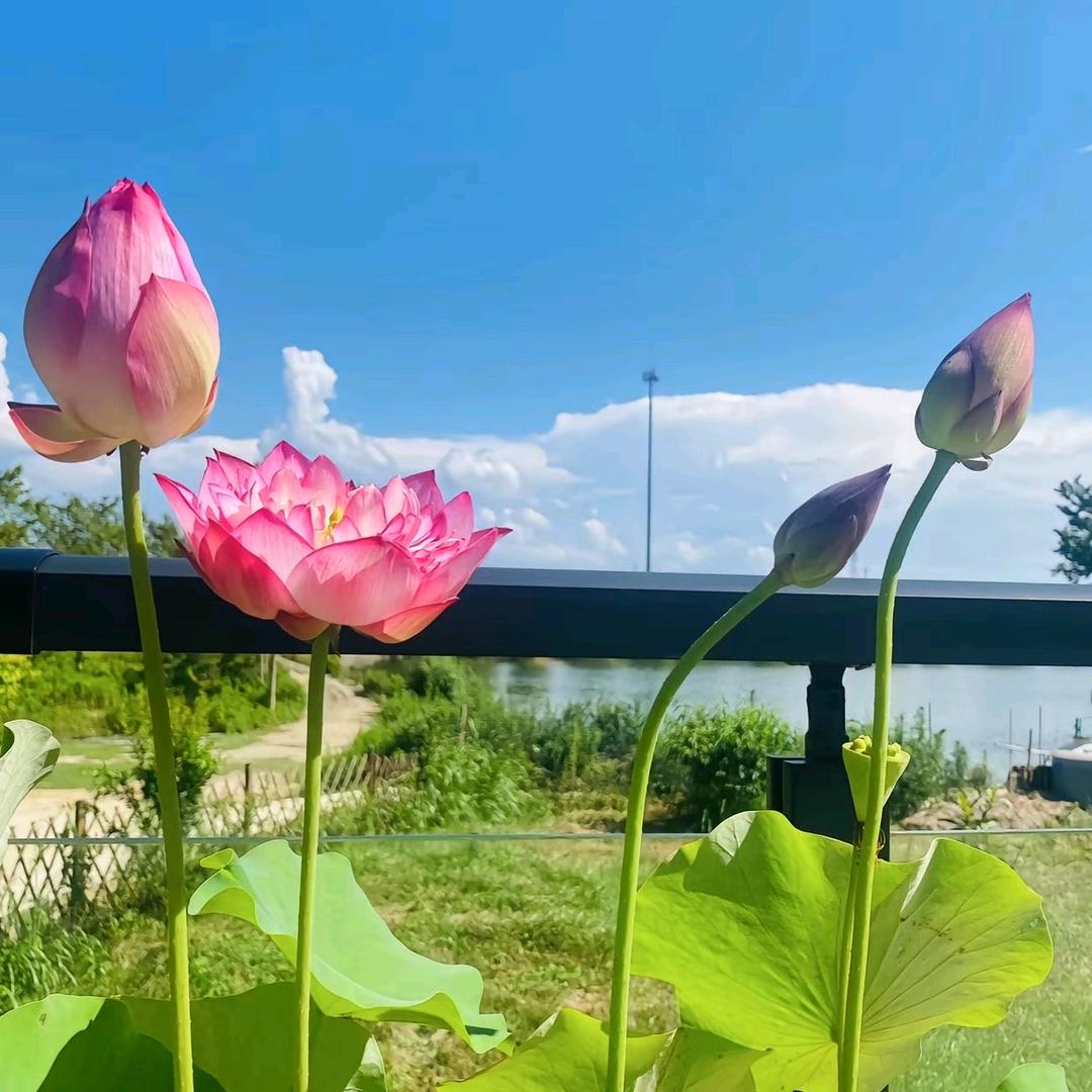 助力乡村