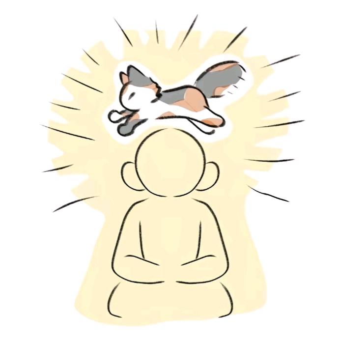 三花聚顶