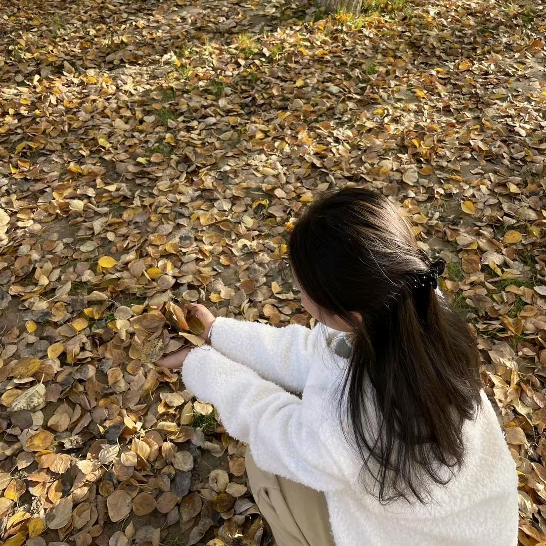 -黄昏晓-