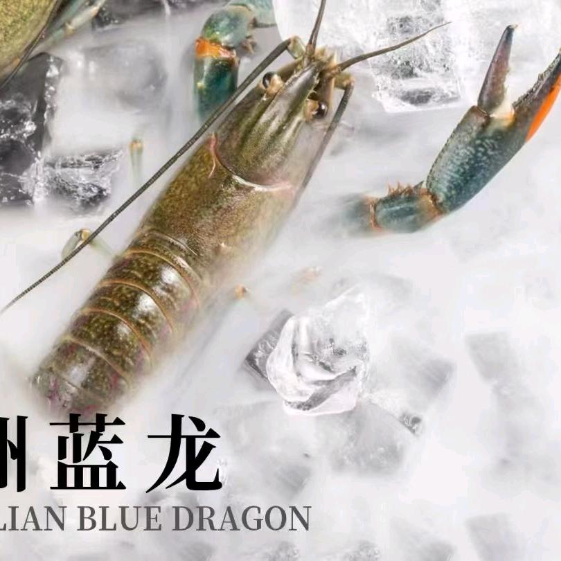 蓝朋友