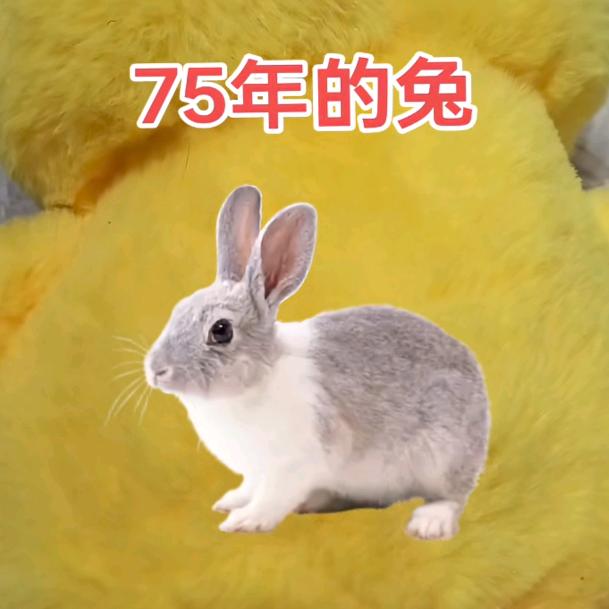 没有过去知有未来