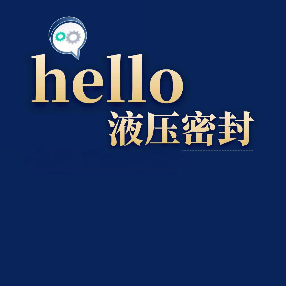 hello 液压密封