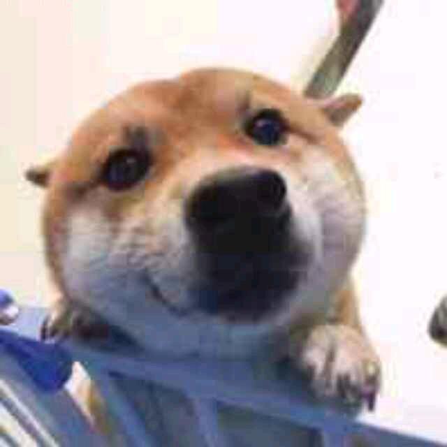 土狗🐶