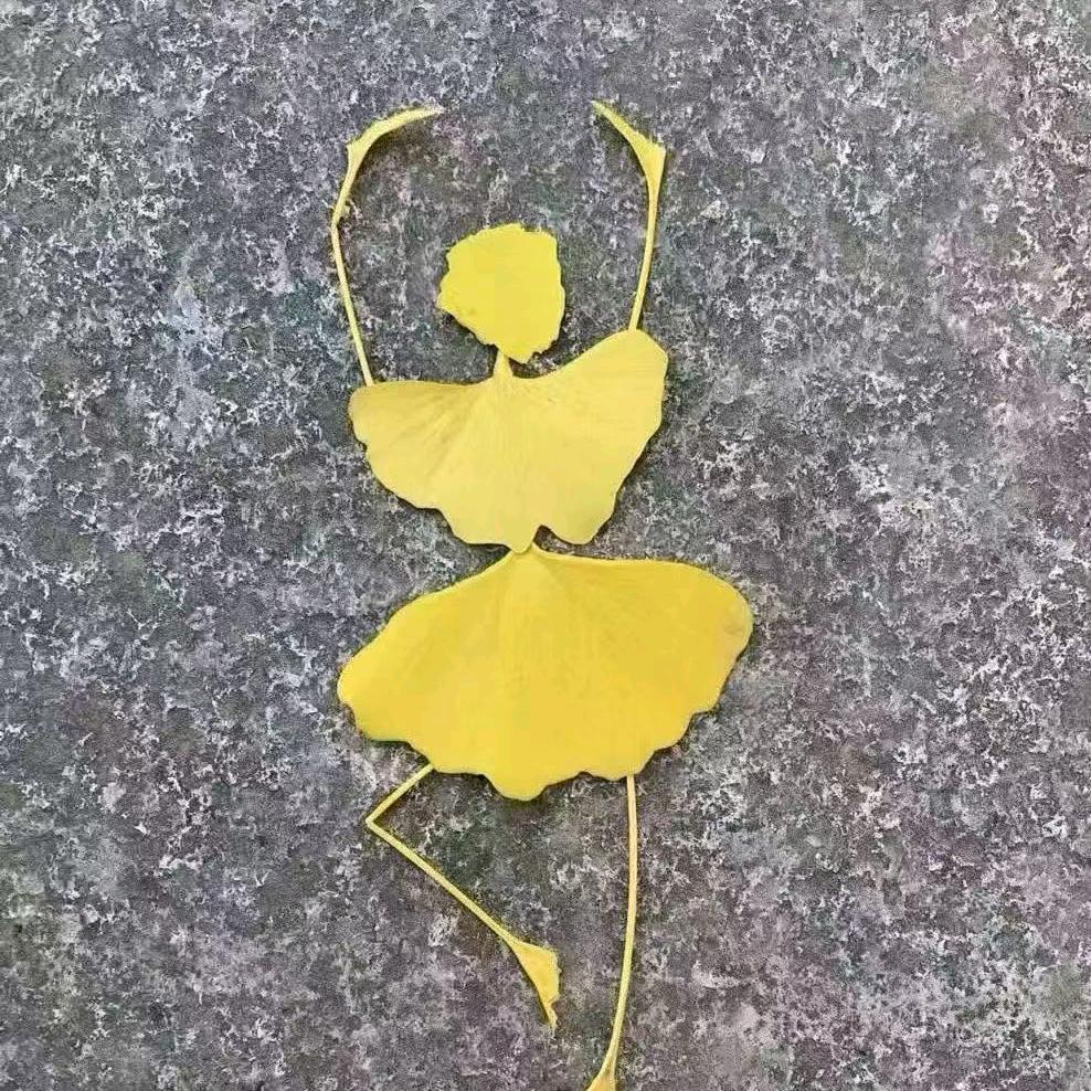 海藻