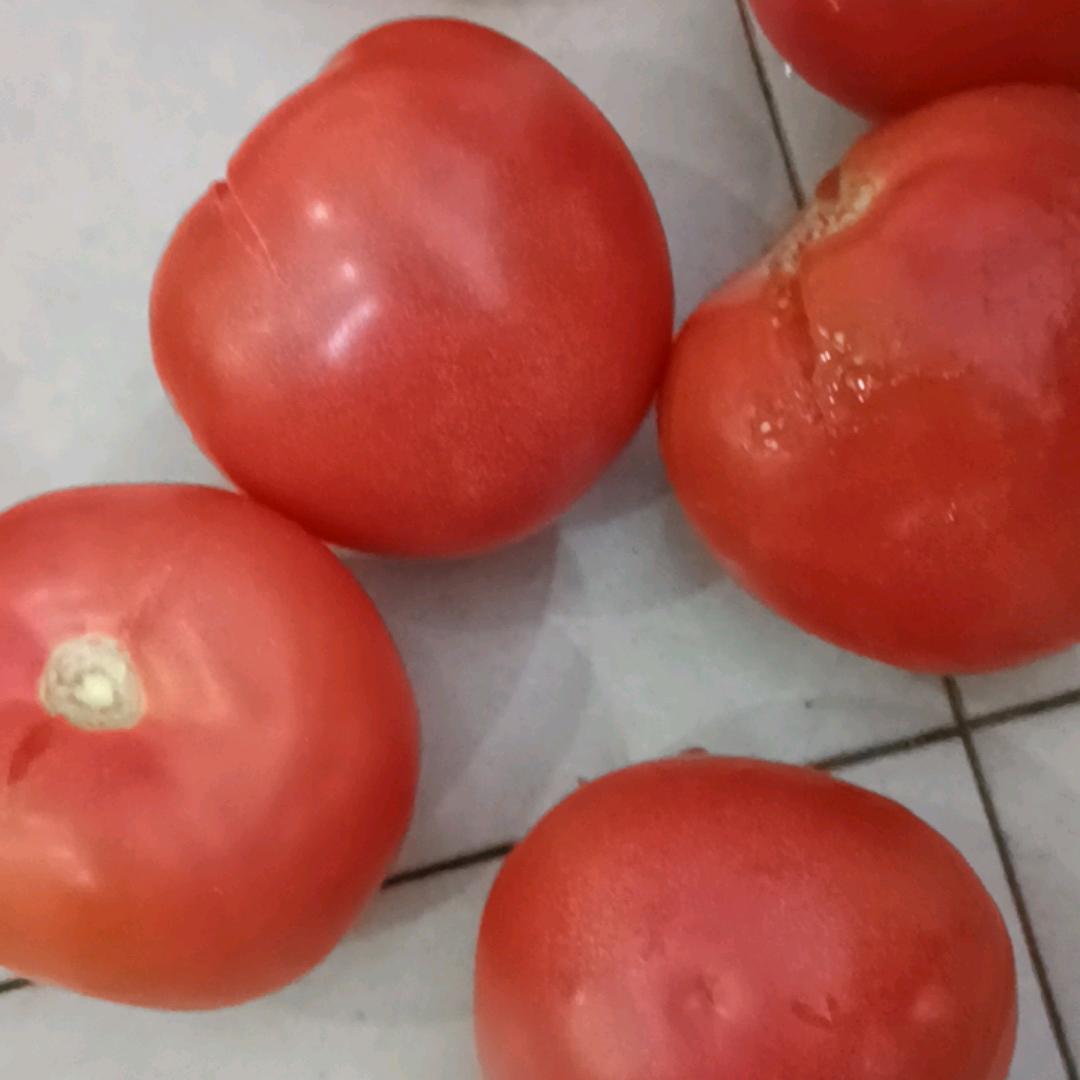 玉姐