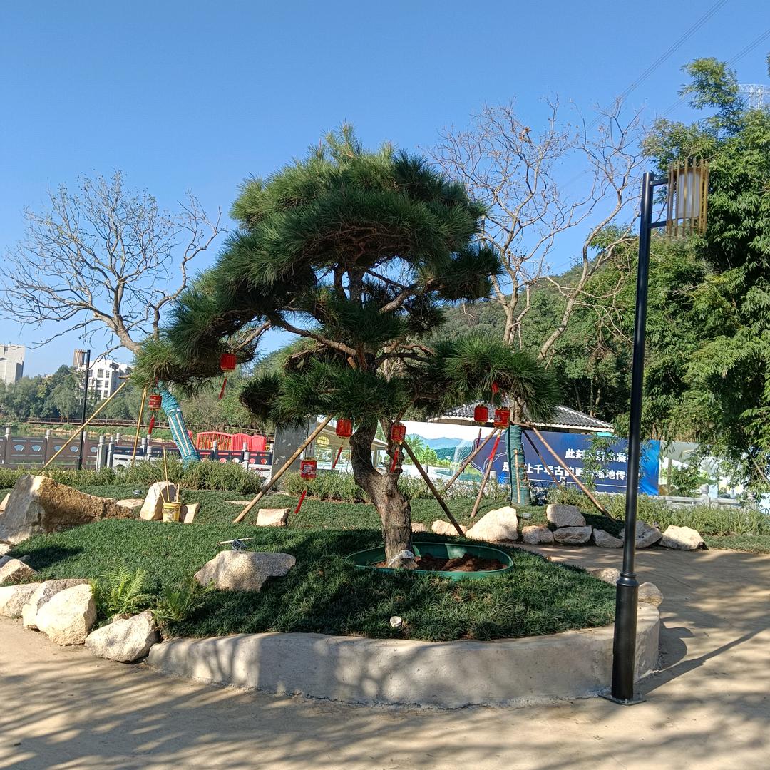 越来越好，我很好！