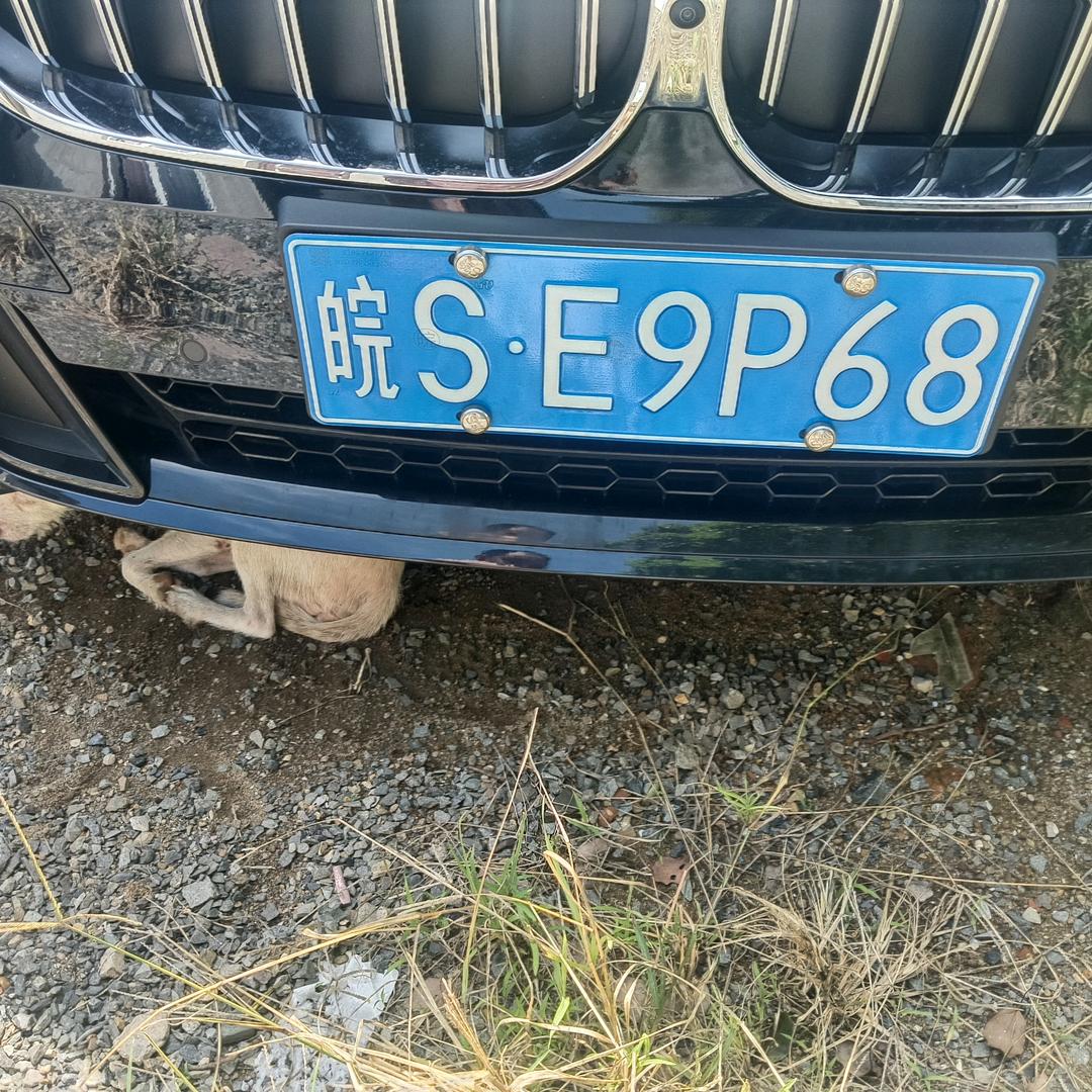 申总！