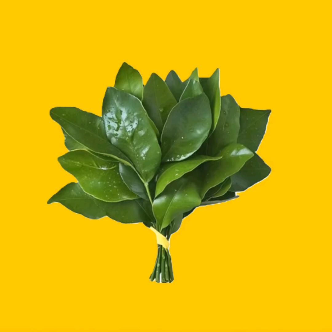 落尘肆🎆