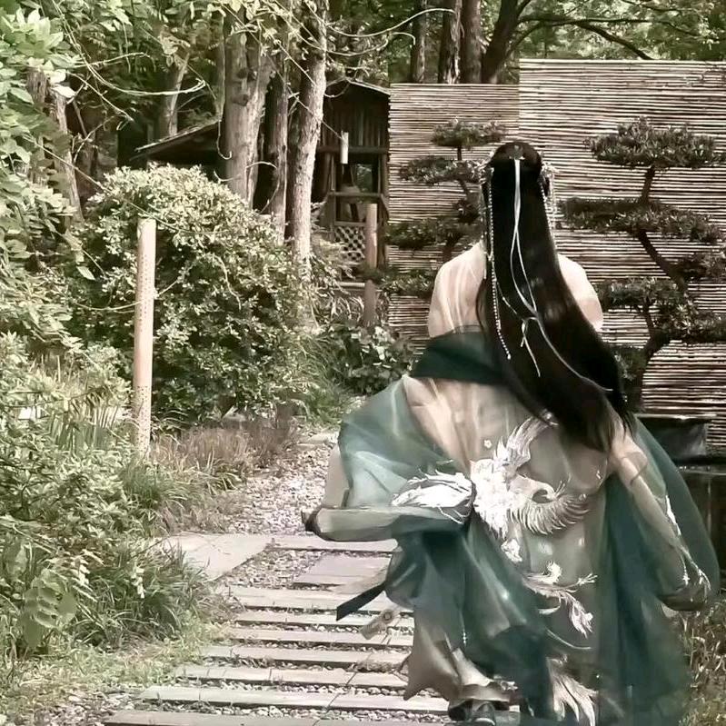 则是文化讲师辰曦