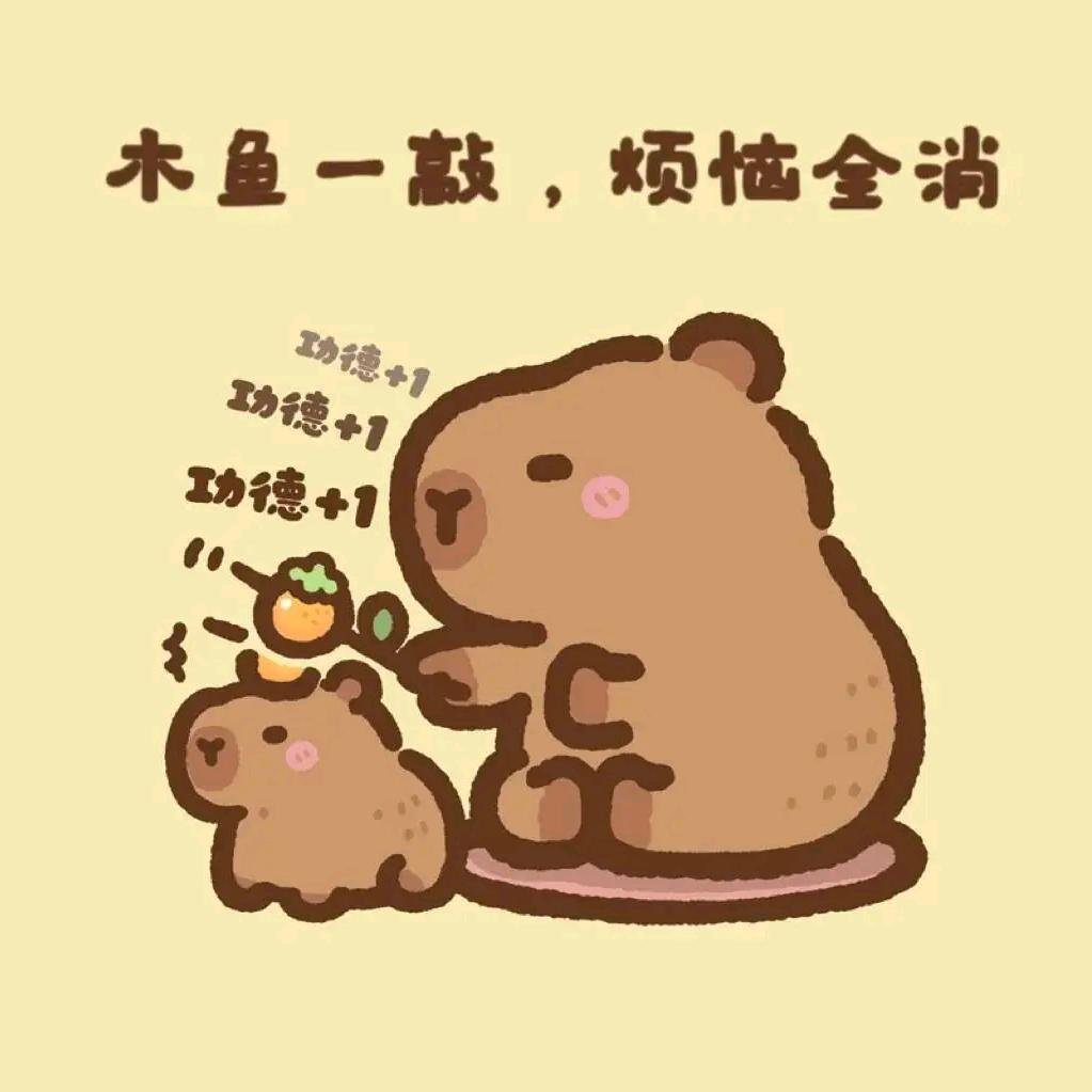 浪浪