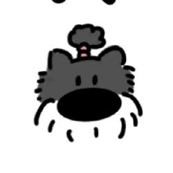 zz
