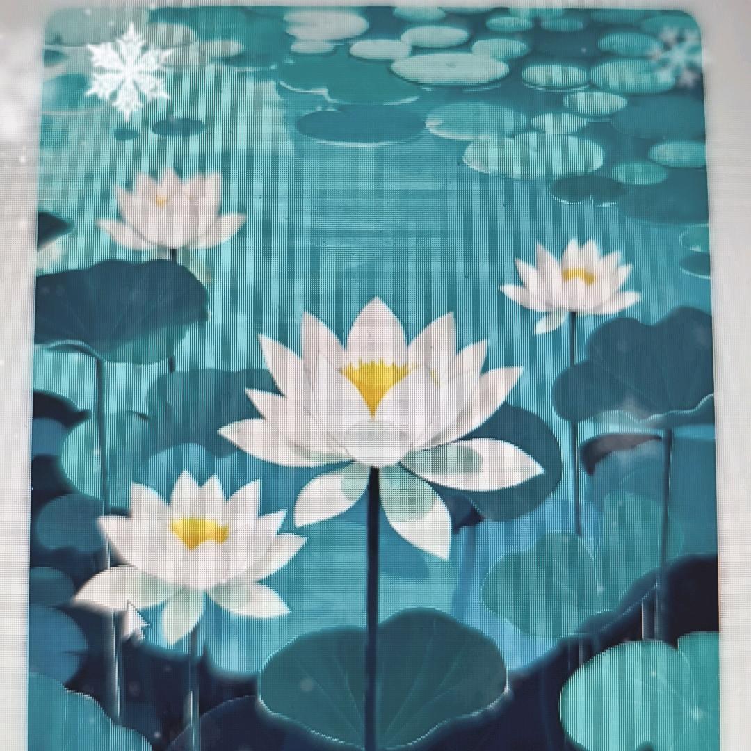 没有技术