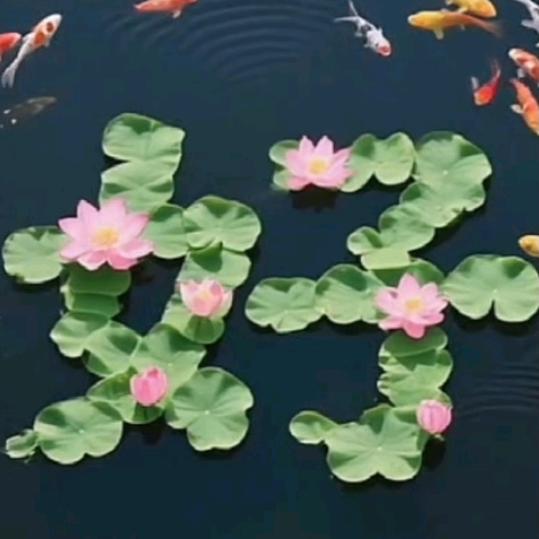 ❤️人的命天注定❤️