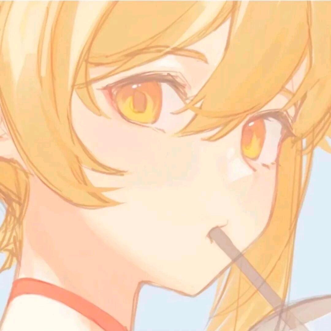 袋鼠cr