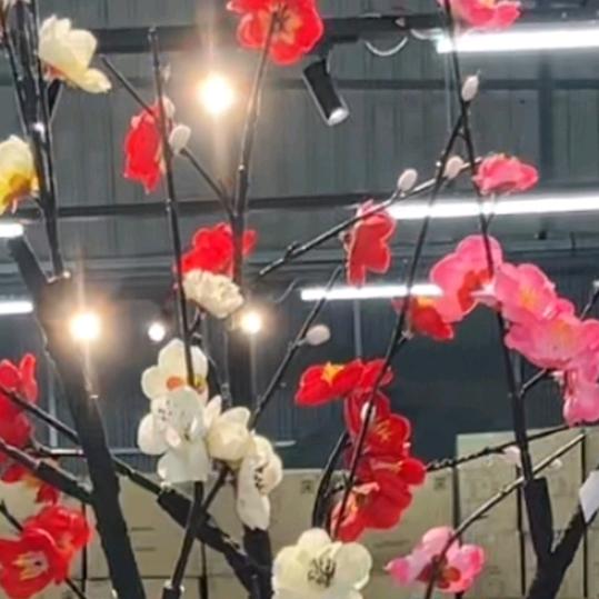 媚香韽睐