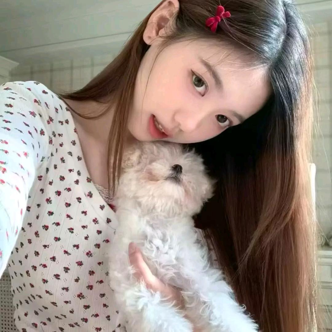 江上月.